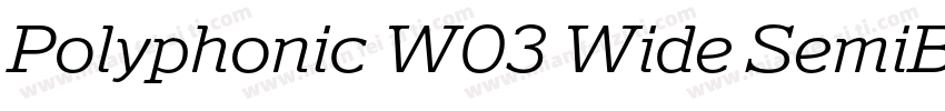 Polyphonic W03 Wide SemiBold字体转换